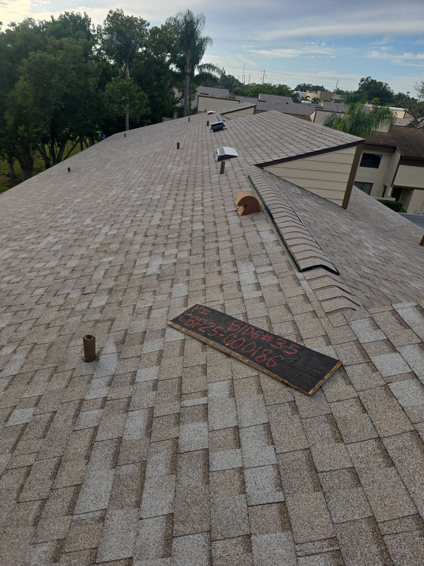 Condominium Shingle Roof