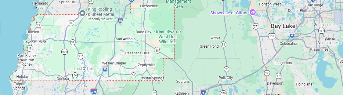 Google Map highlighting Pasco County and Dade City, FL