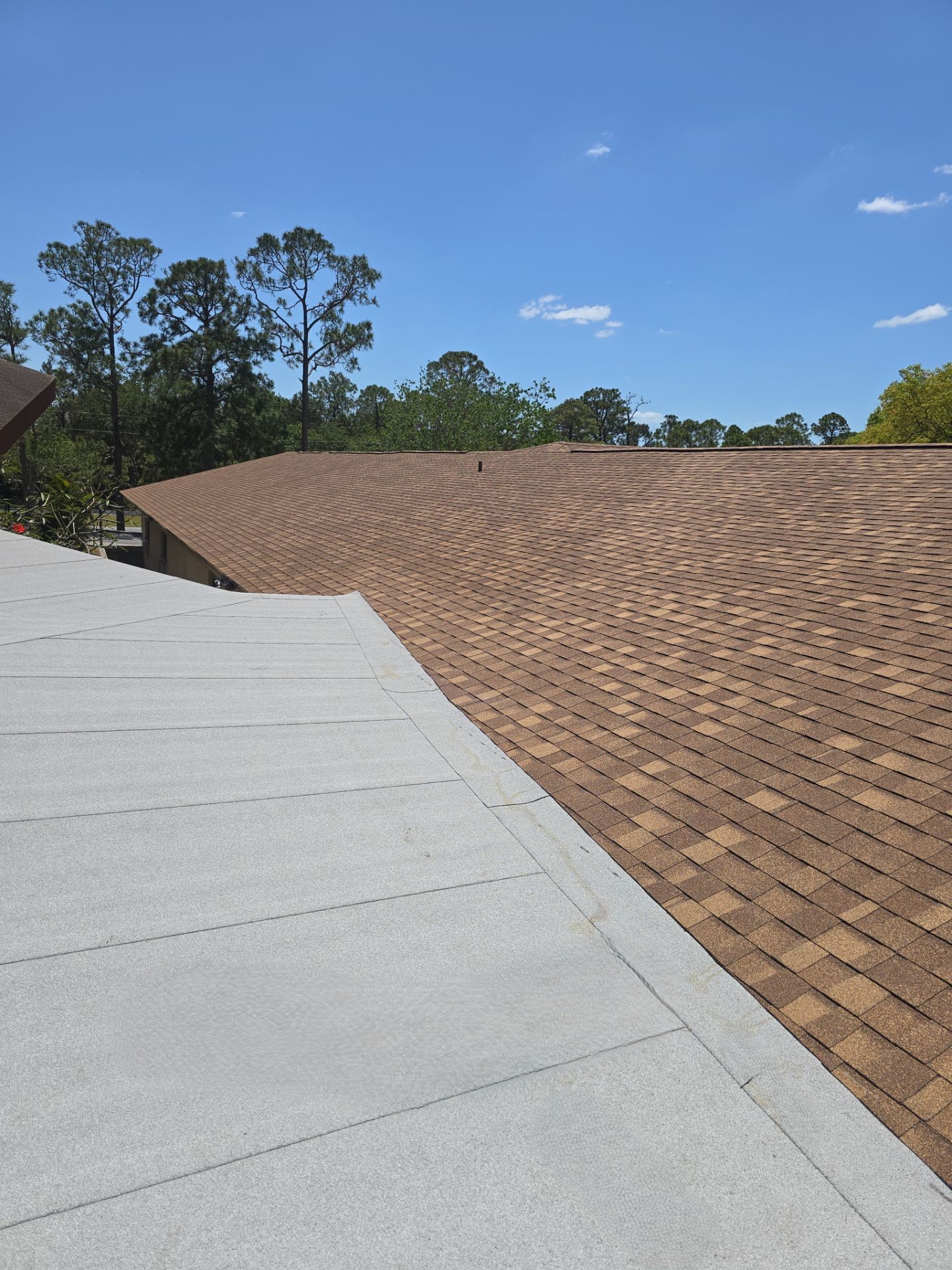 Commercial Shingle Roof Replacement Hudson FL